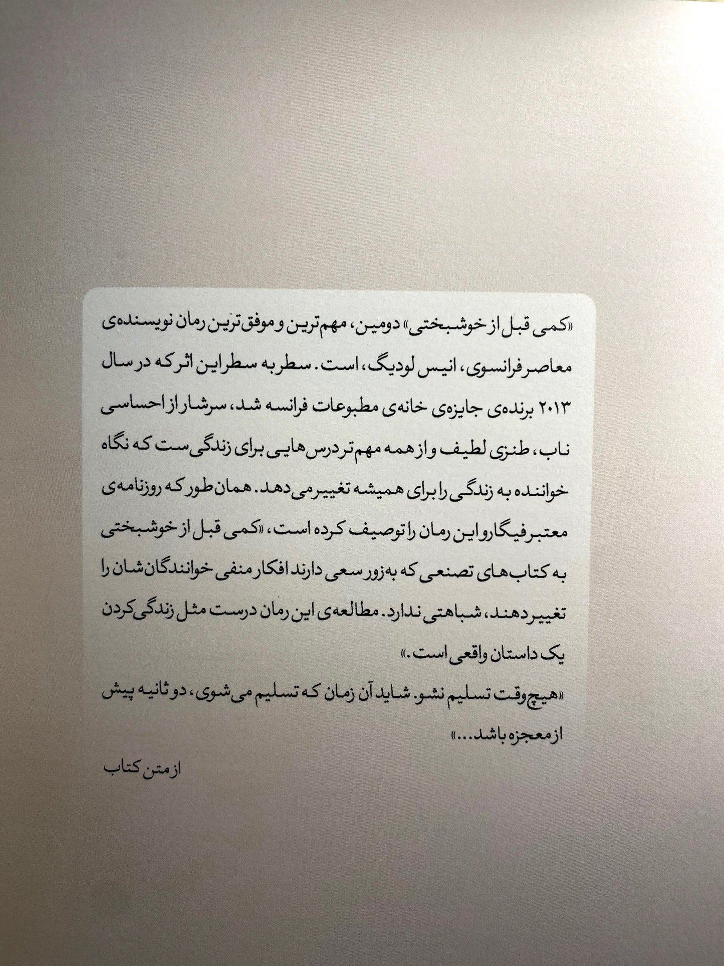 کمی قبل از خوشبختی - انیس لودیگ