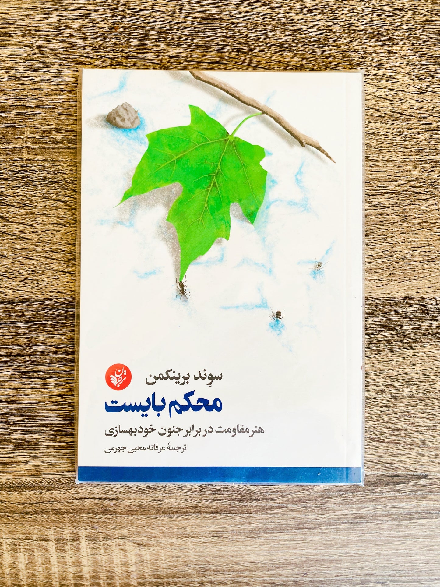 محکم بایست - سوند برینکمن