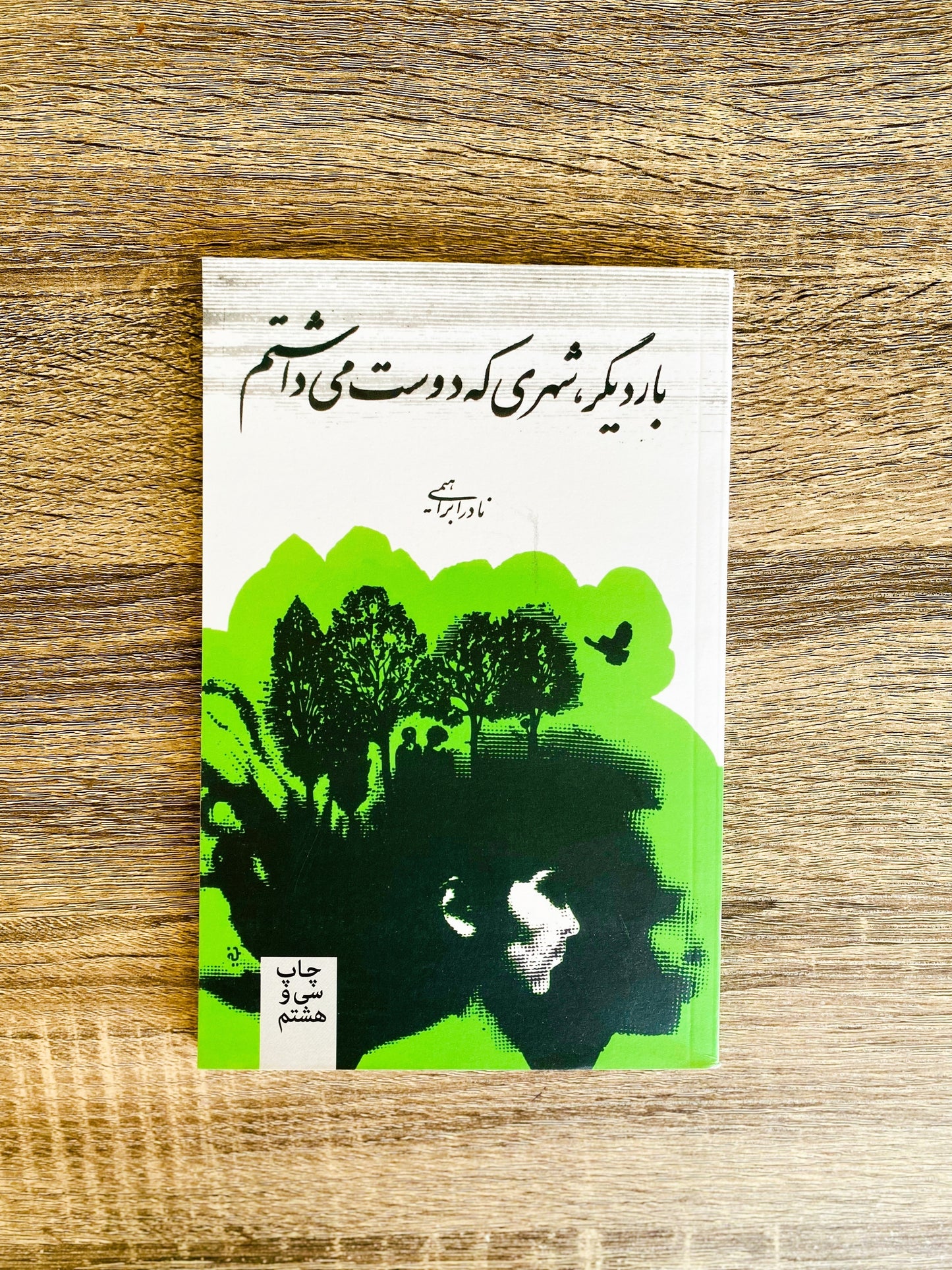 بار دیگر شهری که دوست می داشتم - نادر ابراهیمی