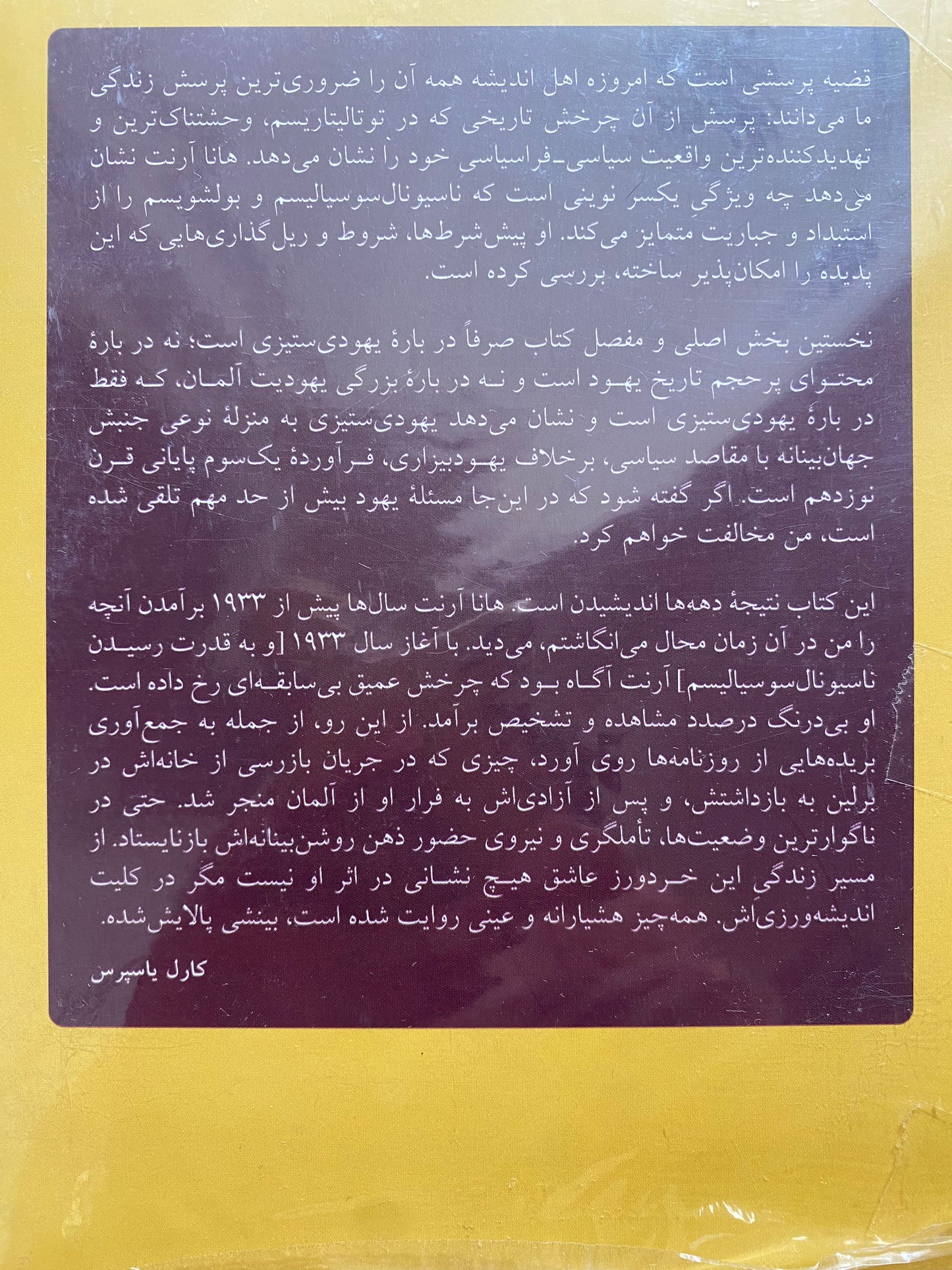 یهودی ستیزی - هانا آرنت