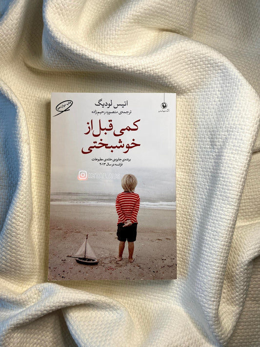کمی قبل از خوشبختی - انیس لودیگ