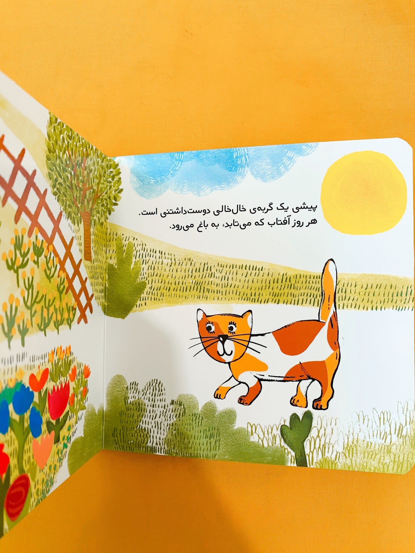 کتاب پیشی در باغ گردش می­‌کند