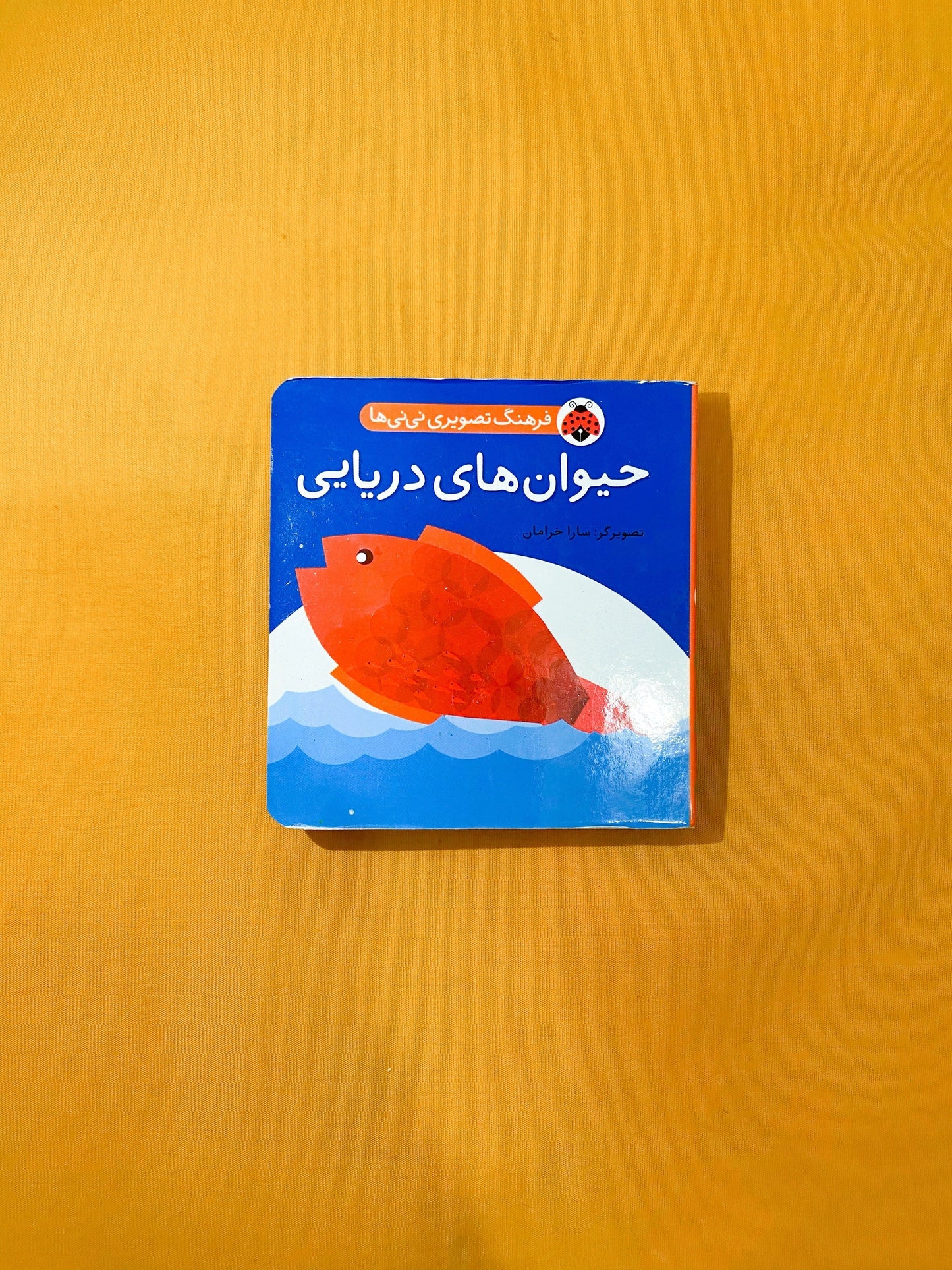کتاب حیوان های دریایی – مجموعه فرهنگ تصویری نی نی ها