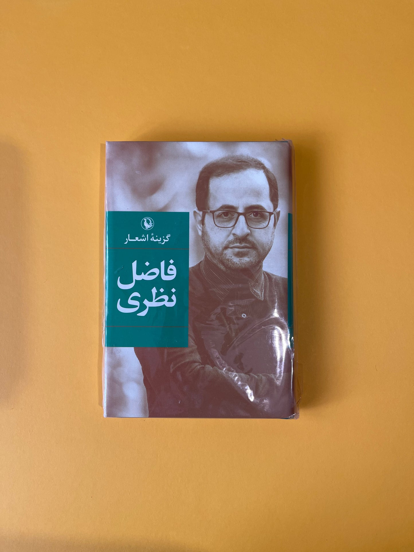 گزینه اشعار فاضل نظری