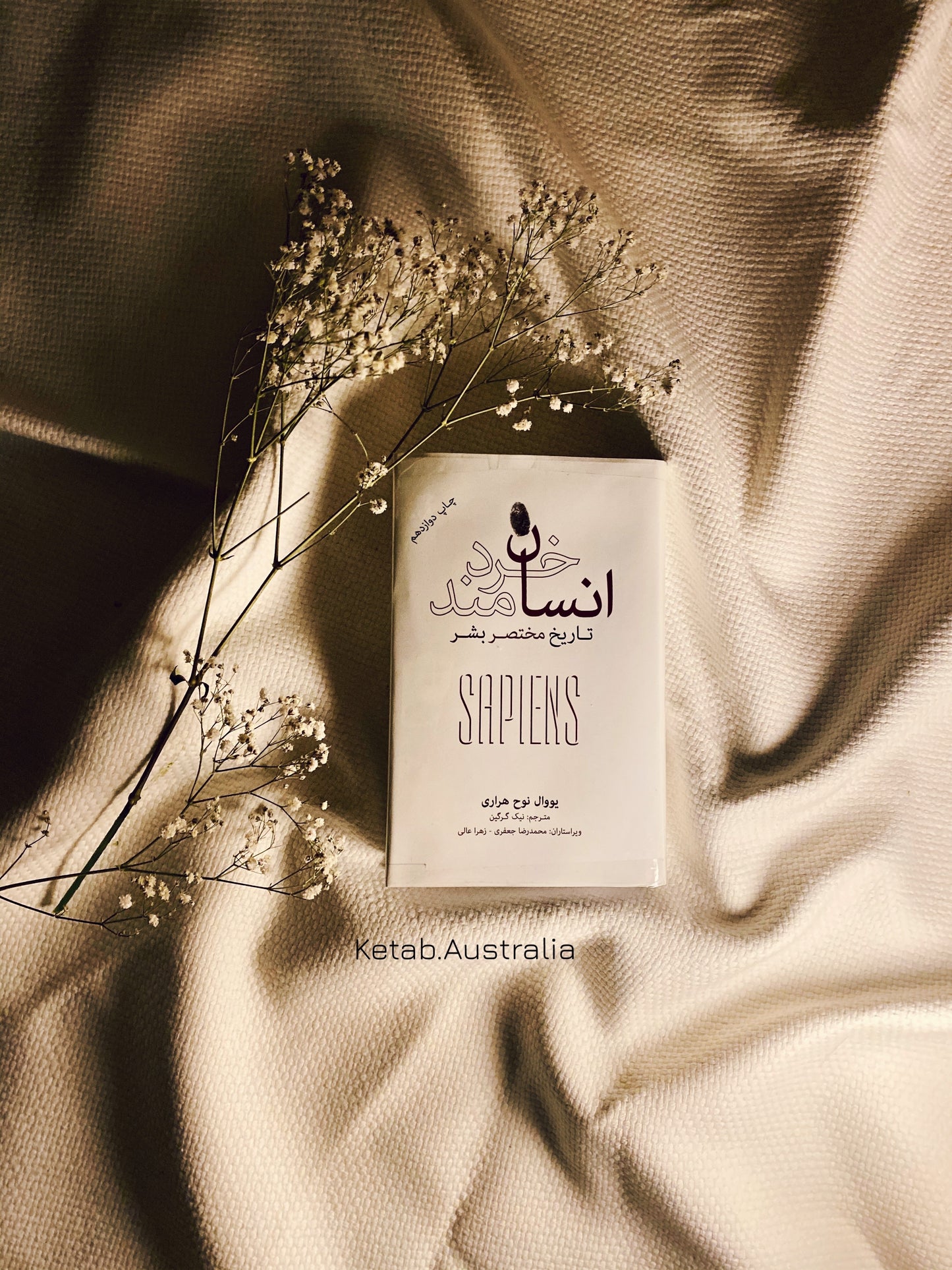 انسان خردمند - یووال نوح هراری